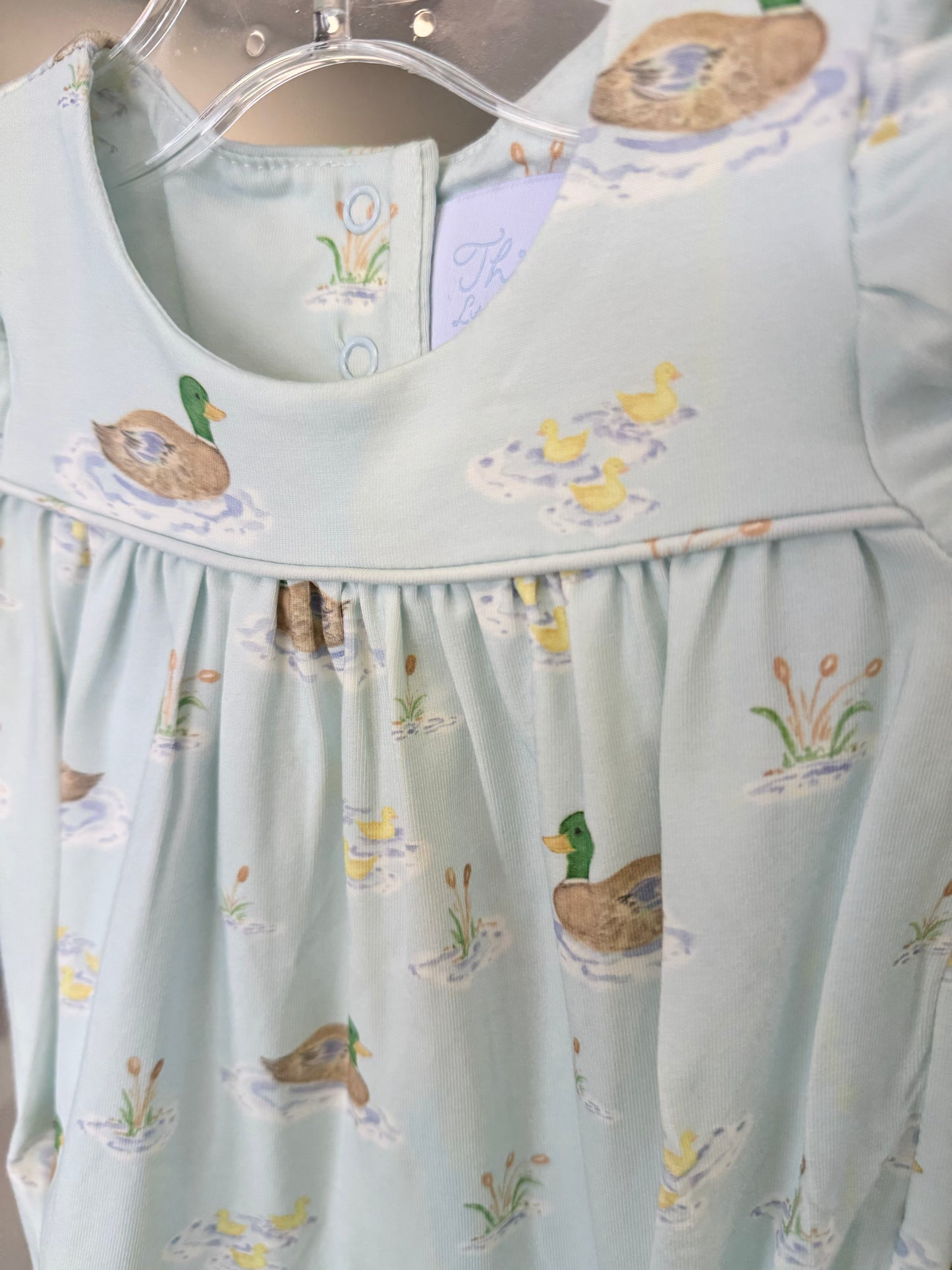 Abigail Bubble - Ducks on the Pond