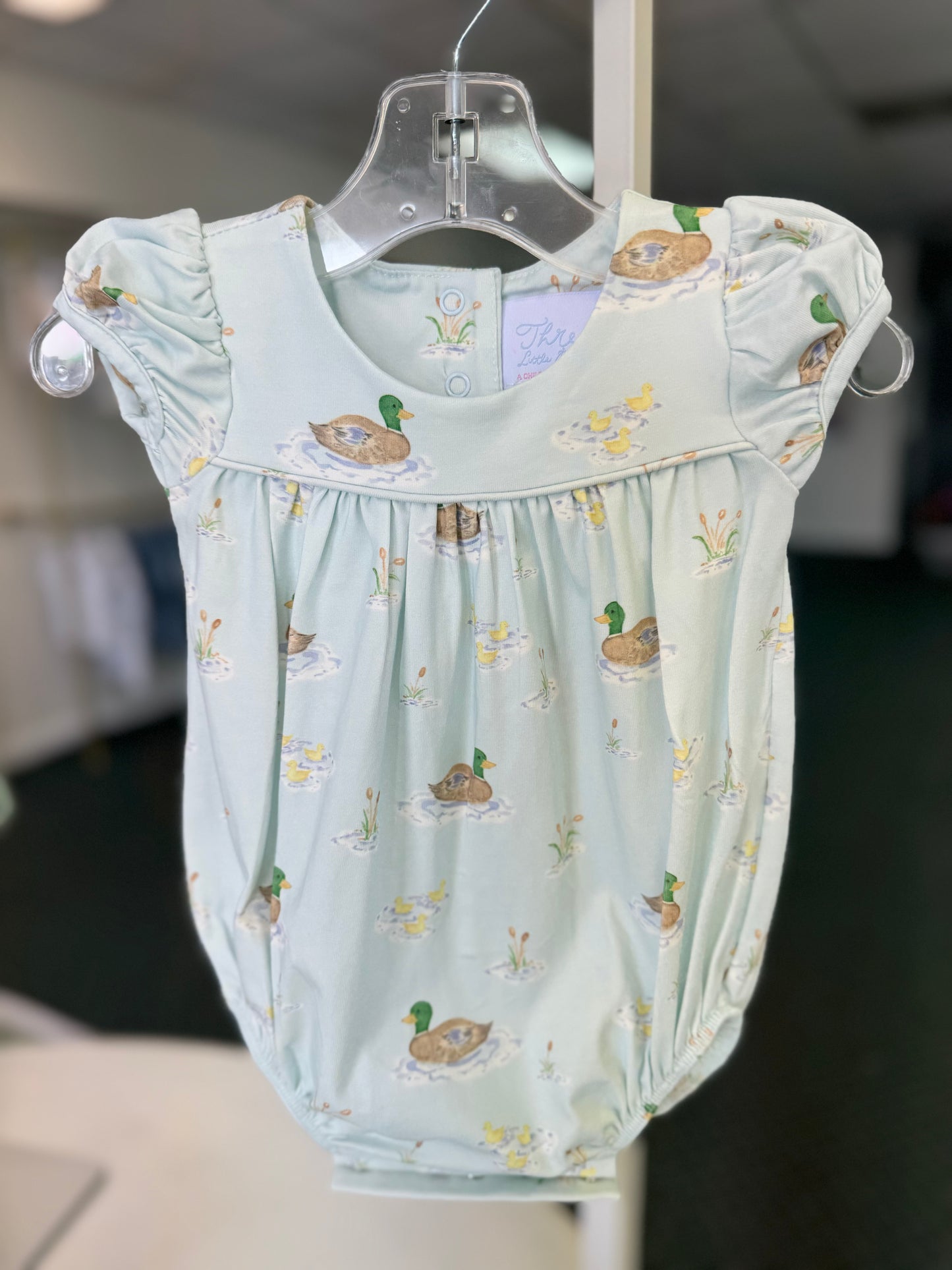 Abigail Bubble - Ducks on the Pond